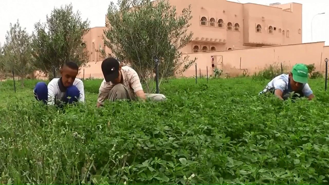 AGRICULTURE POUR CHERVERIE
